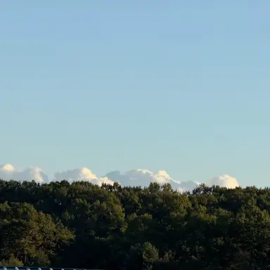 Profile image of 이동혁