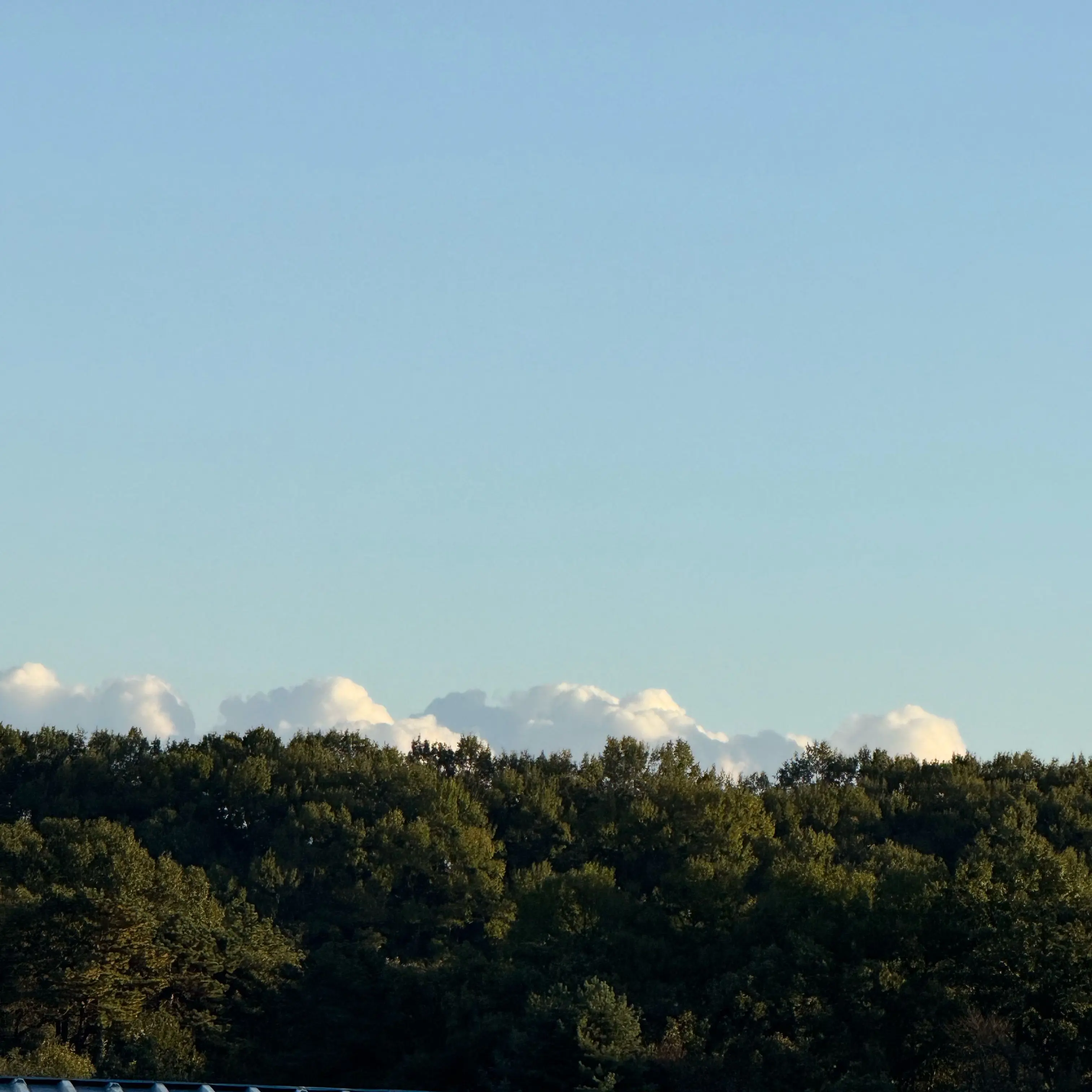 Younaga의 이동혁