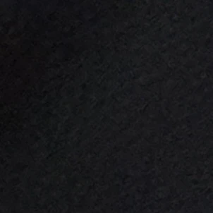 김동현