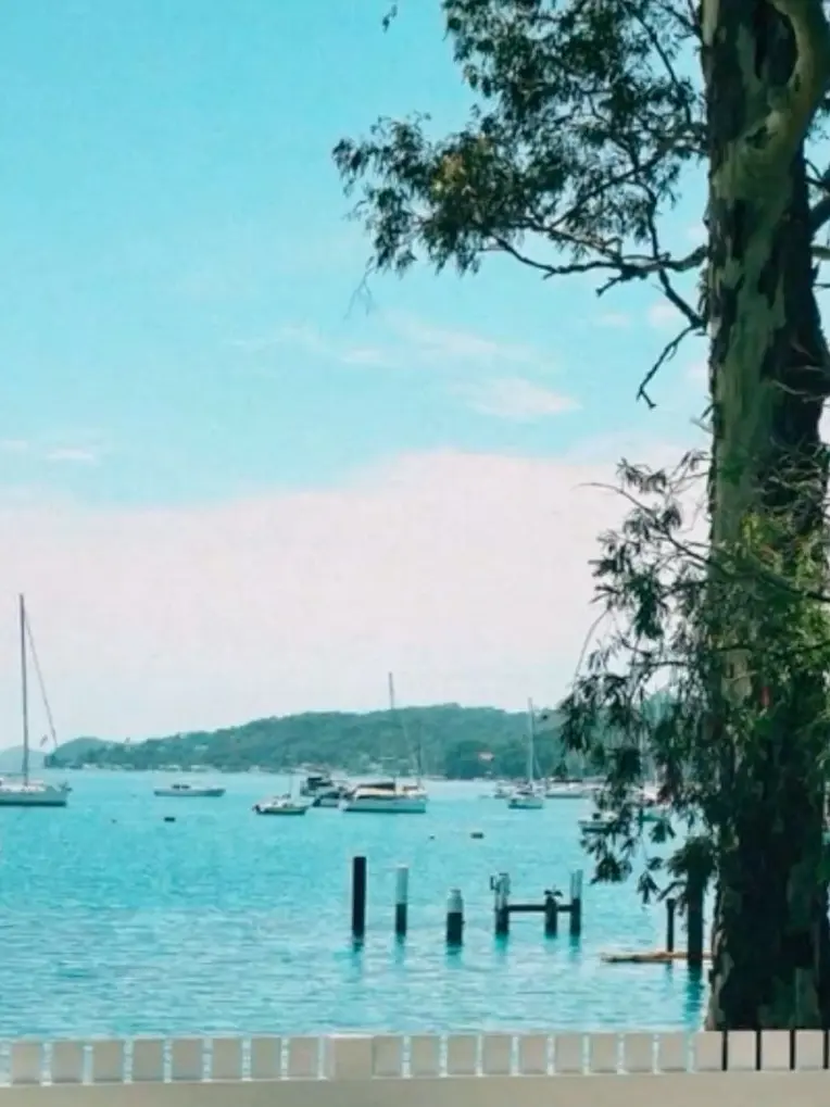 FolksyCrow6011의 また会ったね。