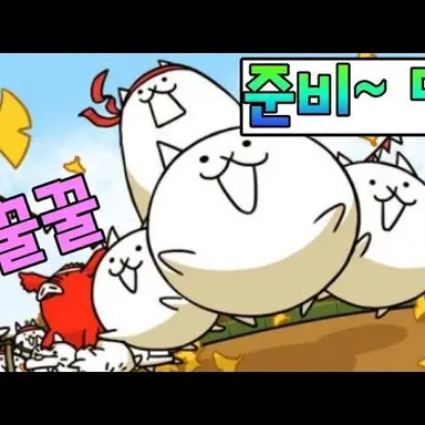 Profile image of 고양이