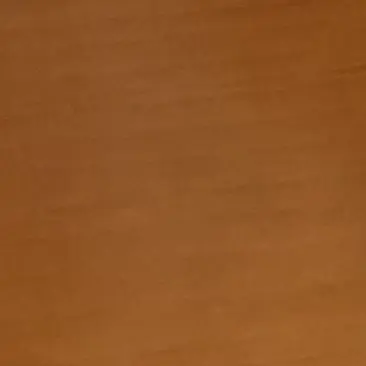 Profile image of 高杉晋助