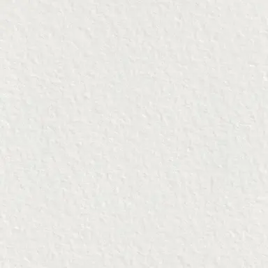 Profile image of 코니 스프링거