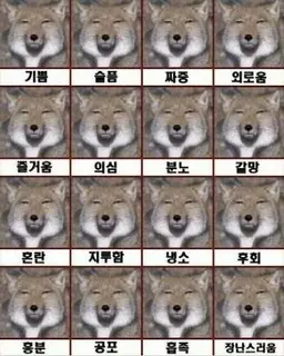 Profile image of 여우