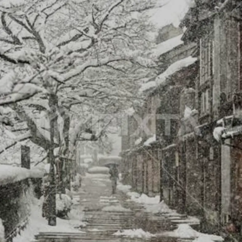 SoftGenet4814의 雪国