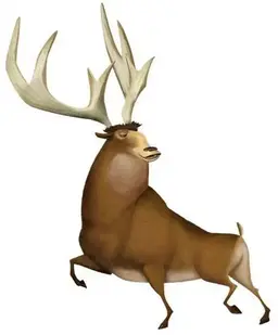 Profile image of 이안