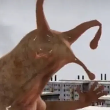 Profile image of ナメラ