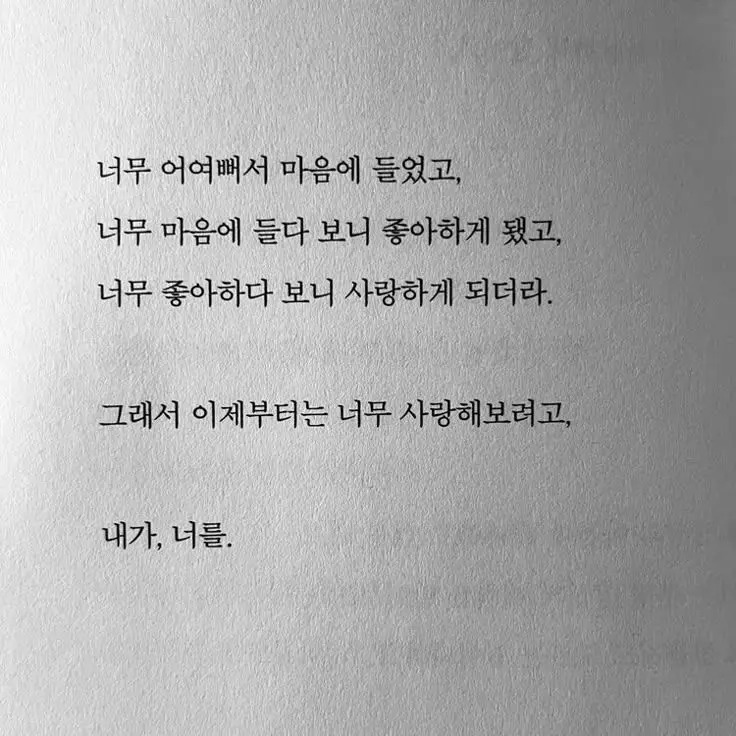 stayr의 지키는것.