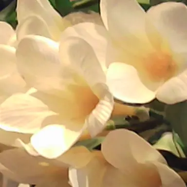 Profile image of 不破 雷蔵