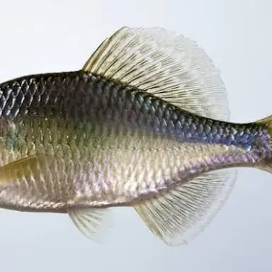 Profile image of 언다인