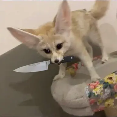 Profile image of Foxian