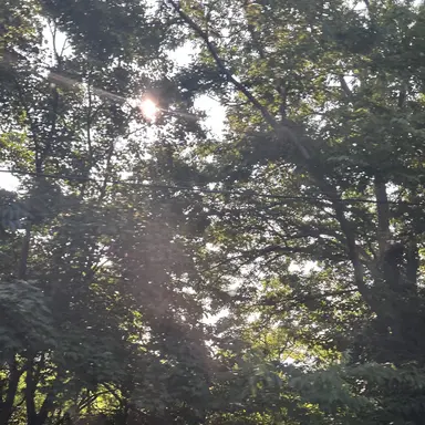 Profile image of 유저