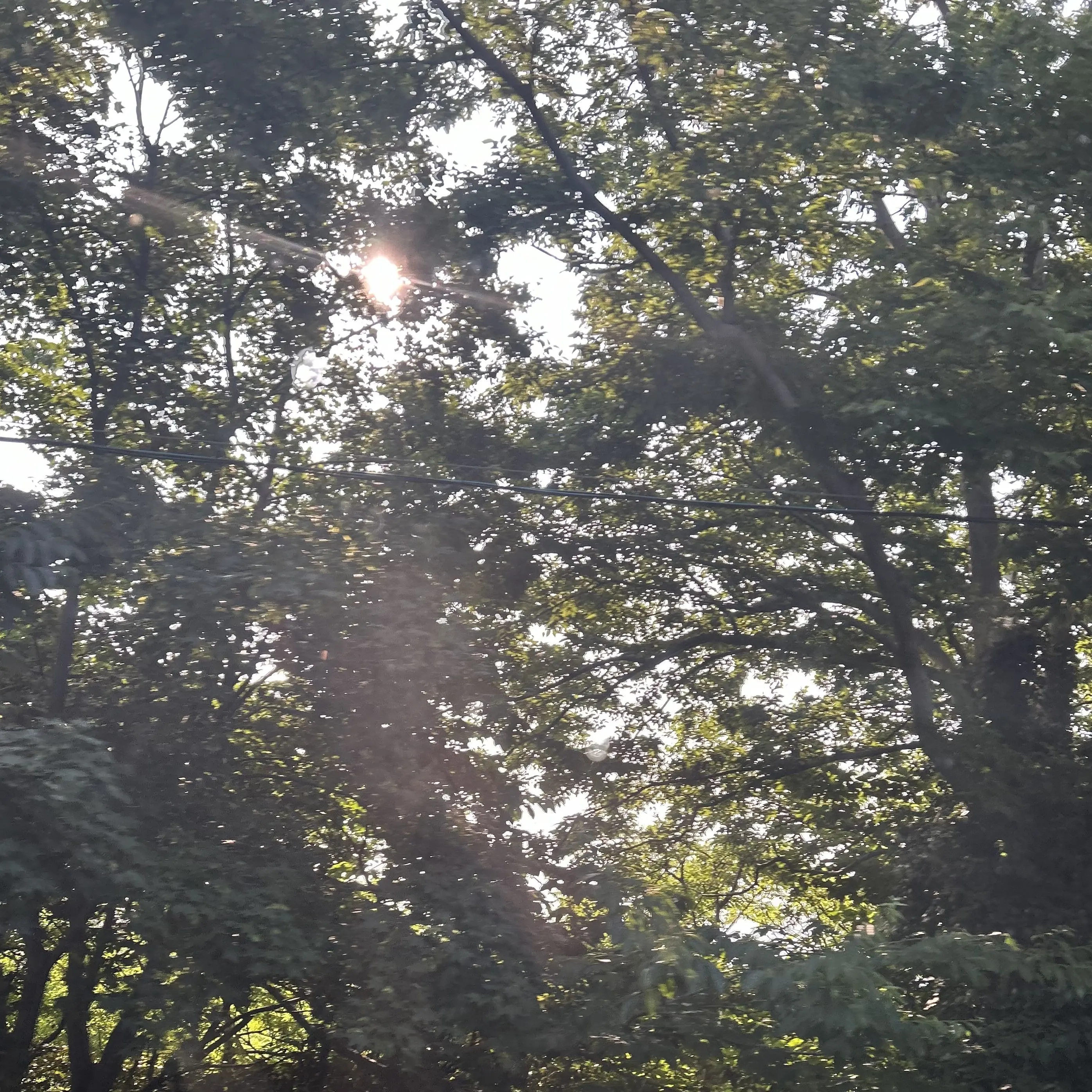 SnowyShirt0404의 존예인 형사