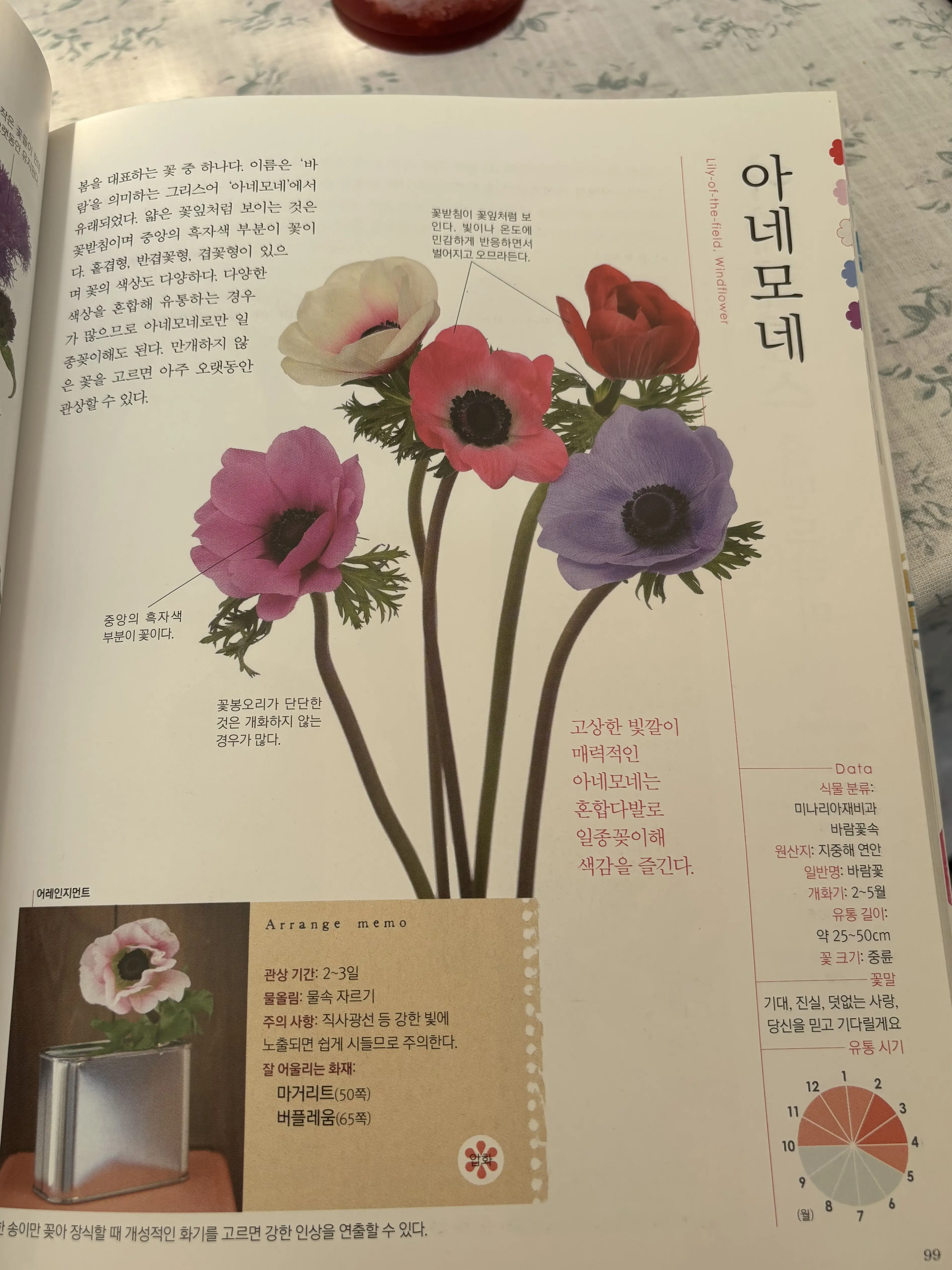 SicklyCost8211의 회장&청소부 (발레 au)