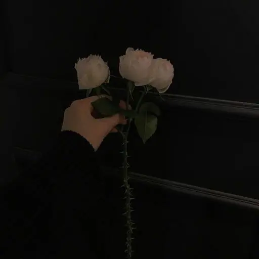 EvenWrist9643의 우융