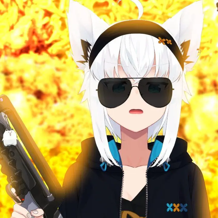 Fttako0205의 ホロ能力バトロワ