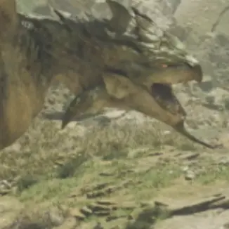 nayumi의 モンスターハンター（モンスター目線）