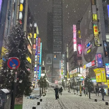 Profile image of 일본