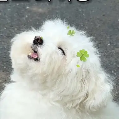 Profile image of 이동혁