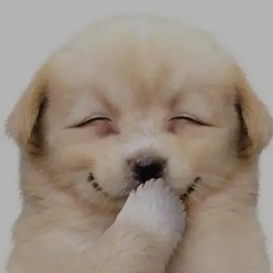 Profile image of 동영배