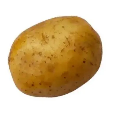Profile image of 강대성