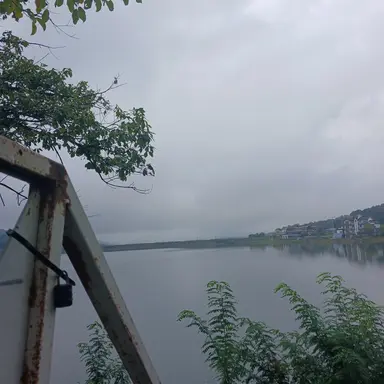 Profile image of 여우