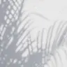 Profile image of ズキュンパイア