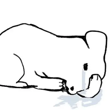 Profile image of 이상원