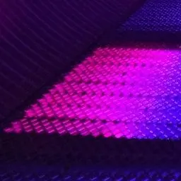 Profile image of 정아름