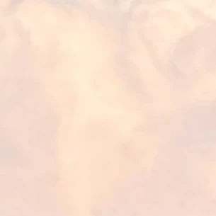 김태형