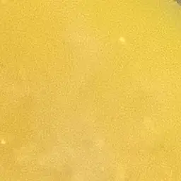 Pipye_Zzang의 마들렌 맛 쿠키