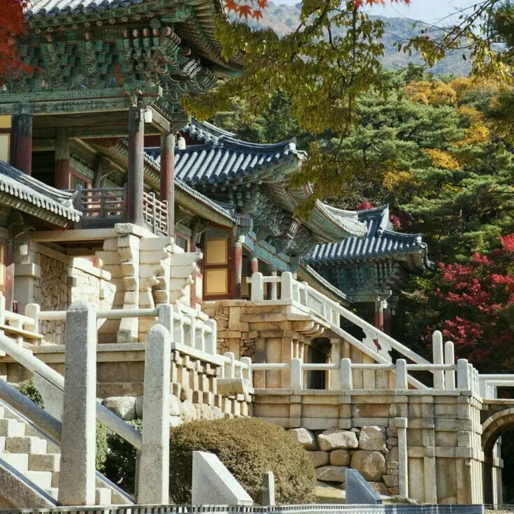 sac__의 성불 학원에서 살아남기!