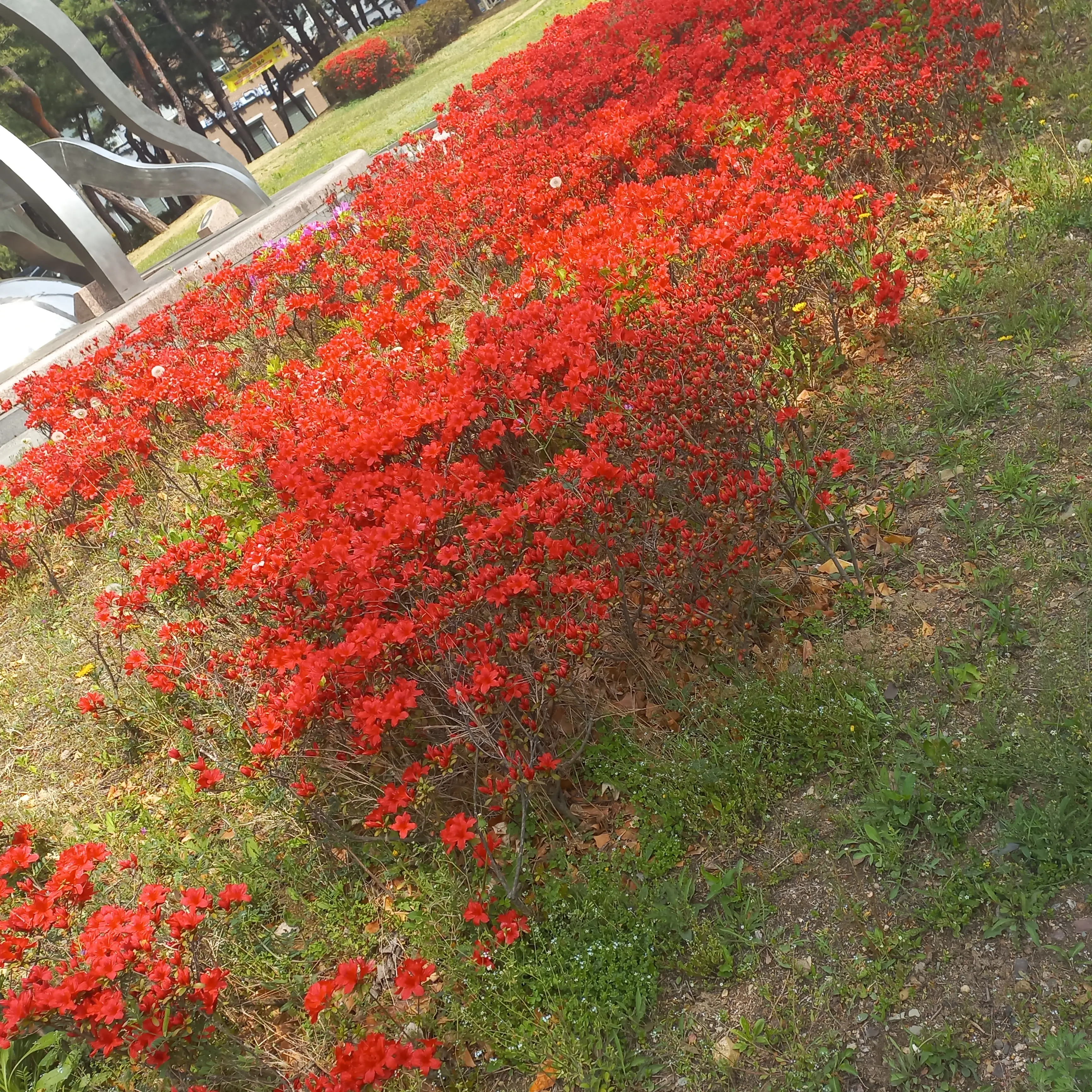 SnowyCrisp9569의 f13 의사 오빠들(부산행 버전)