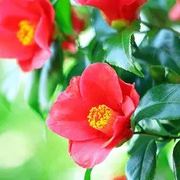 01044__2012의 愛は何処に𓂃  .ᐣ