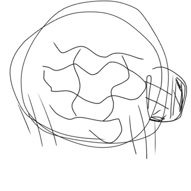 Profile image of アクシズ