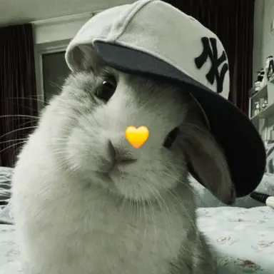 Profile image of 박지원