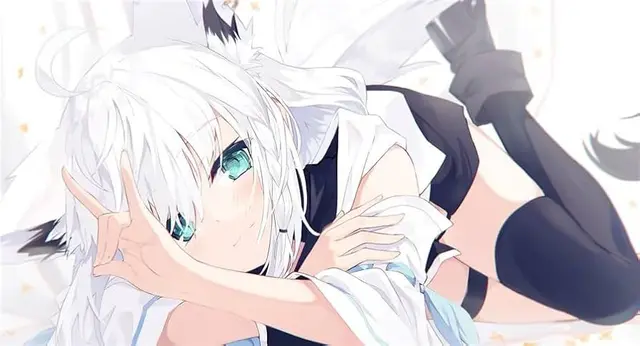 Profile image of フブキ