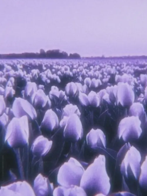 Spica____o0의 あなたの後ろに