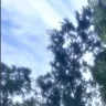 Profile image of 自由