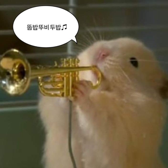 권오선 대표 이미지