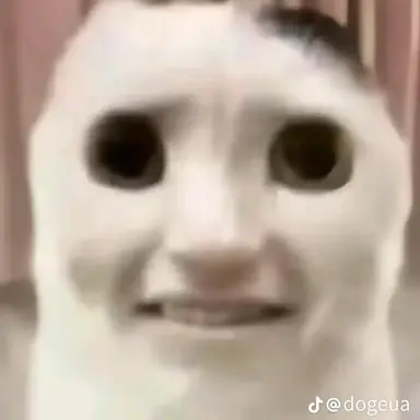 Profile image of 나레이터