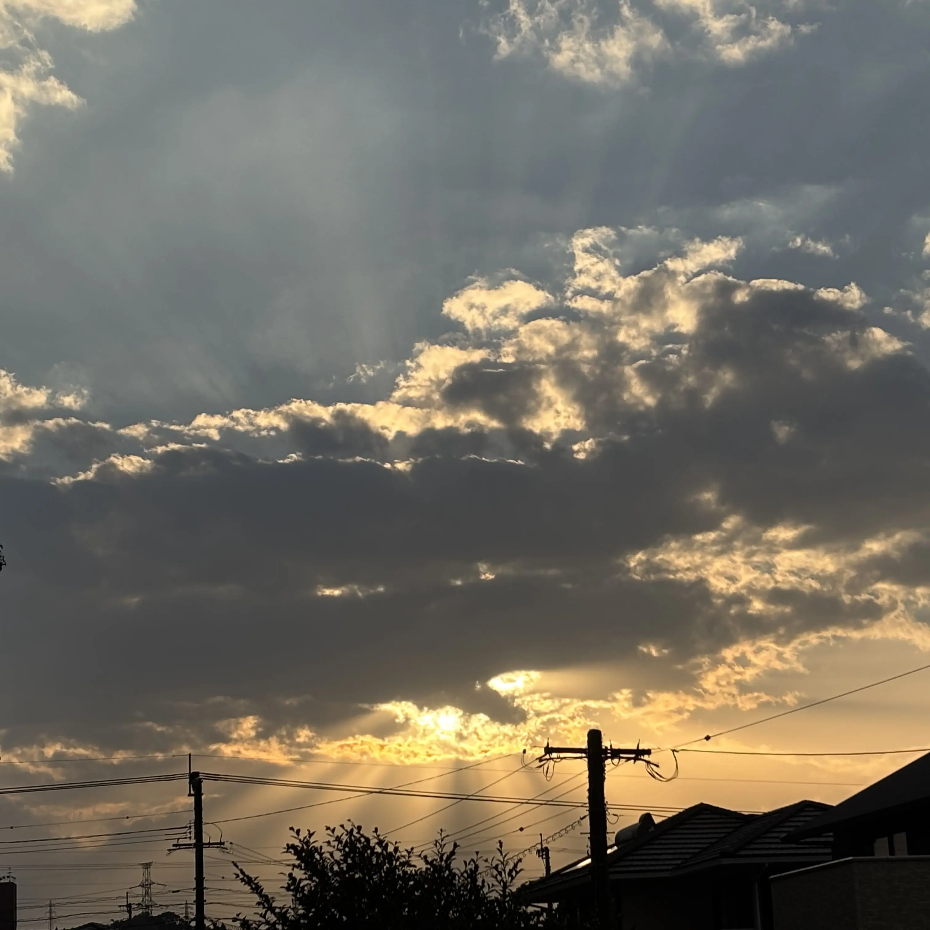 SafeBanjo4011의 あぁ、可愛い…♡