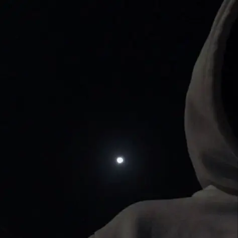 dhsjo의 떨어지는 벚꽃잎을 잡으면..