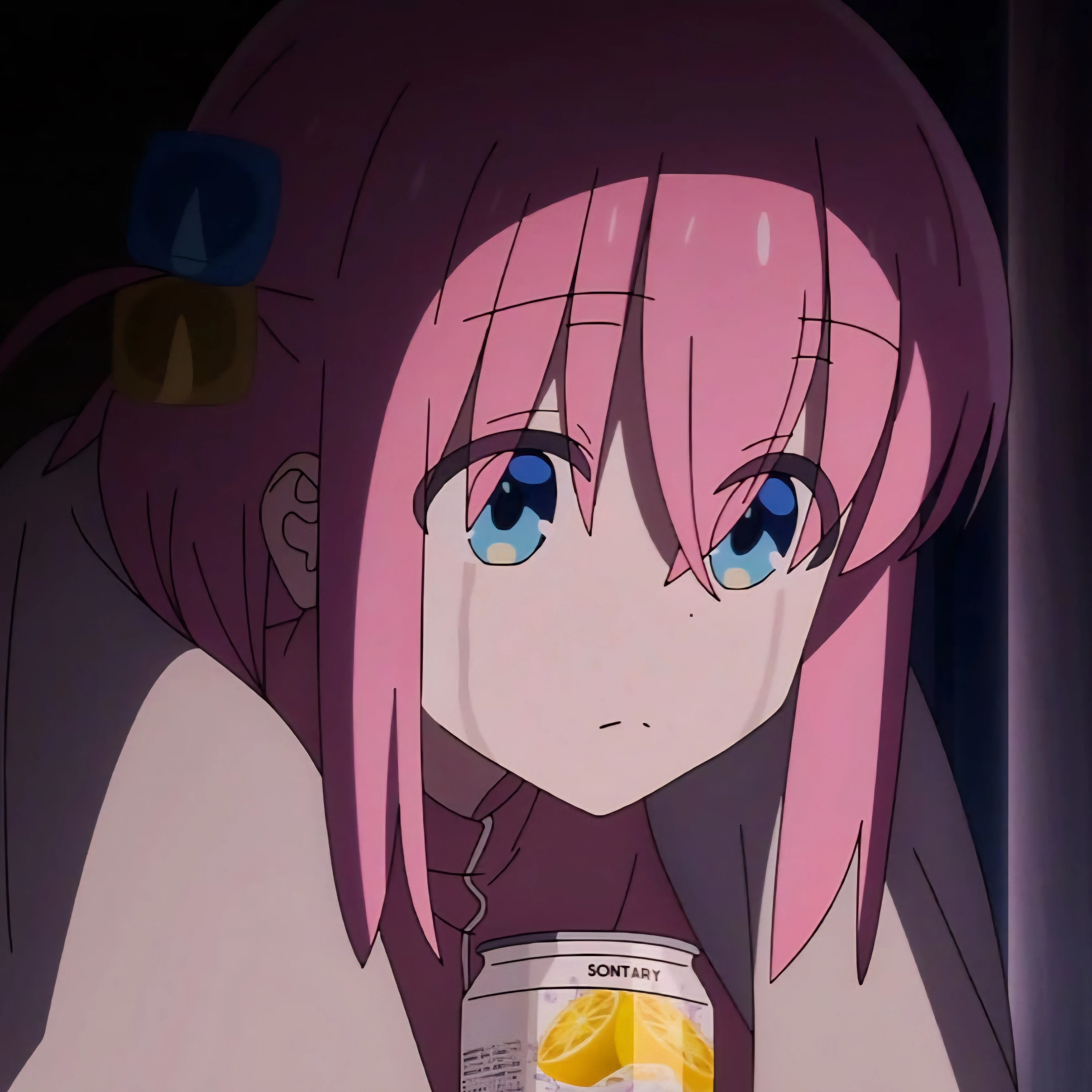 봇치
