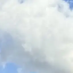 TangySweat5094의 전남친이 따라와서 남친짤을 썼더니..