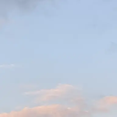 Profile image of 서강현