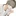 同じ寮のチャラそうな男の子は....