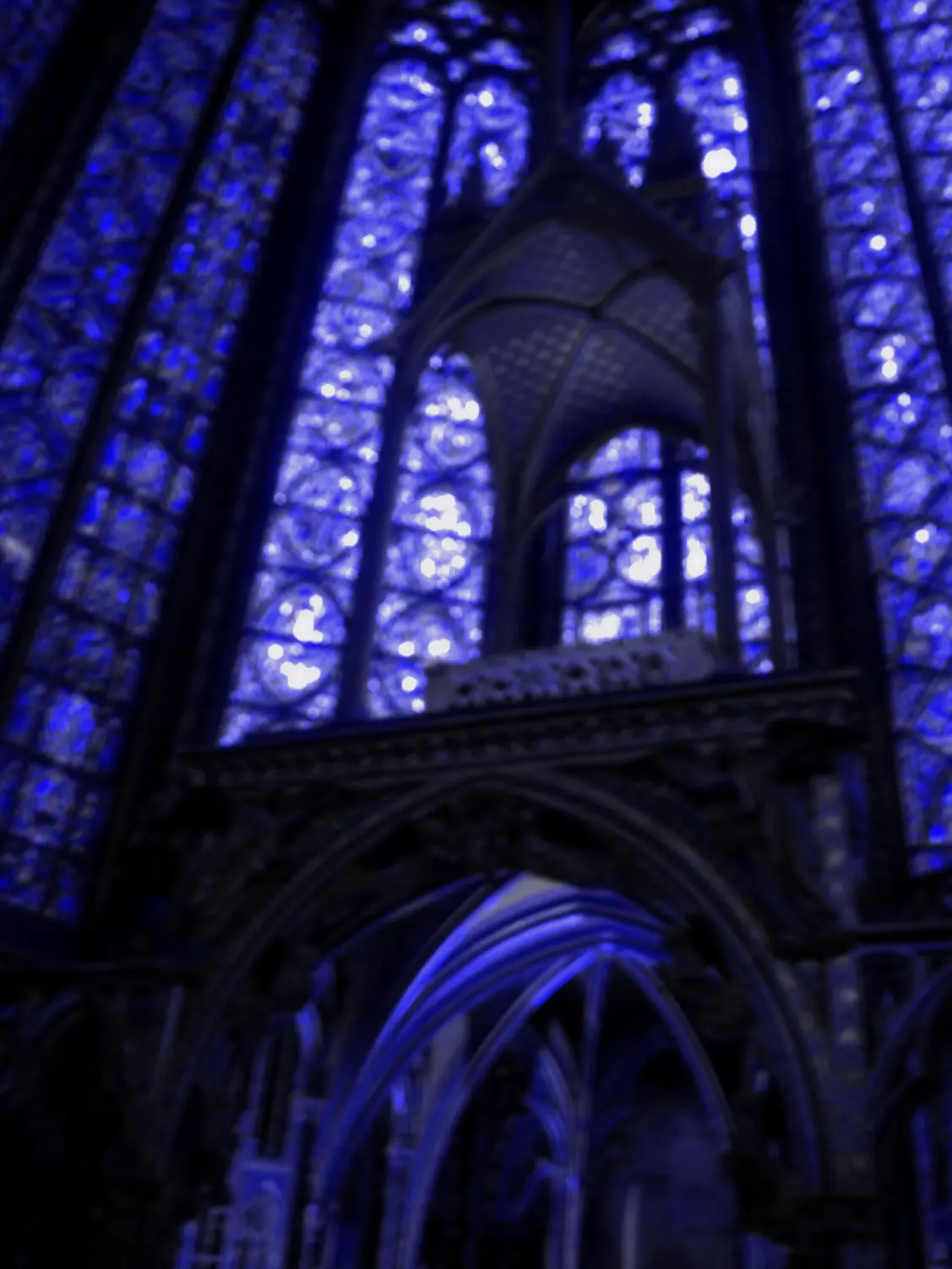 RoundStem9193의 ✧ ₊° ⋆謎の教祖様…¿✧ ₊°