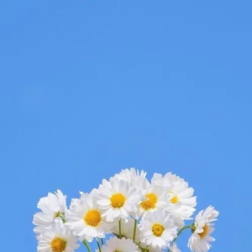 WaryRain0581의 미스터리 수사반1