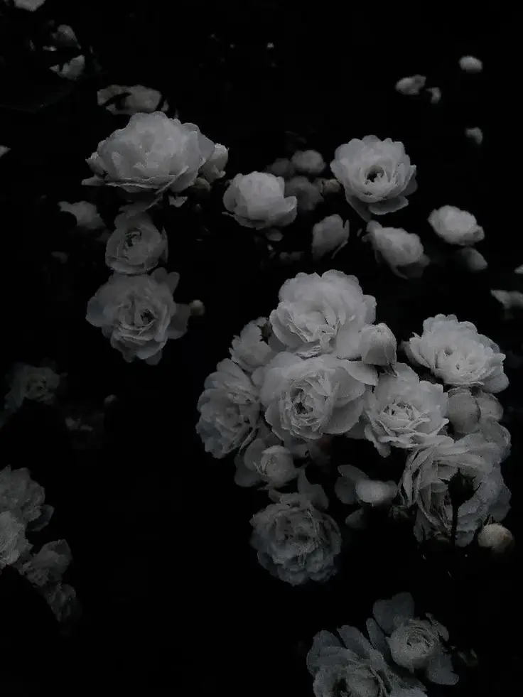 SappyAtom3192의 先輩は僕のなのに！！